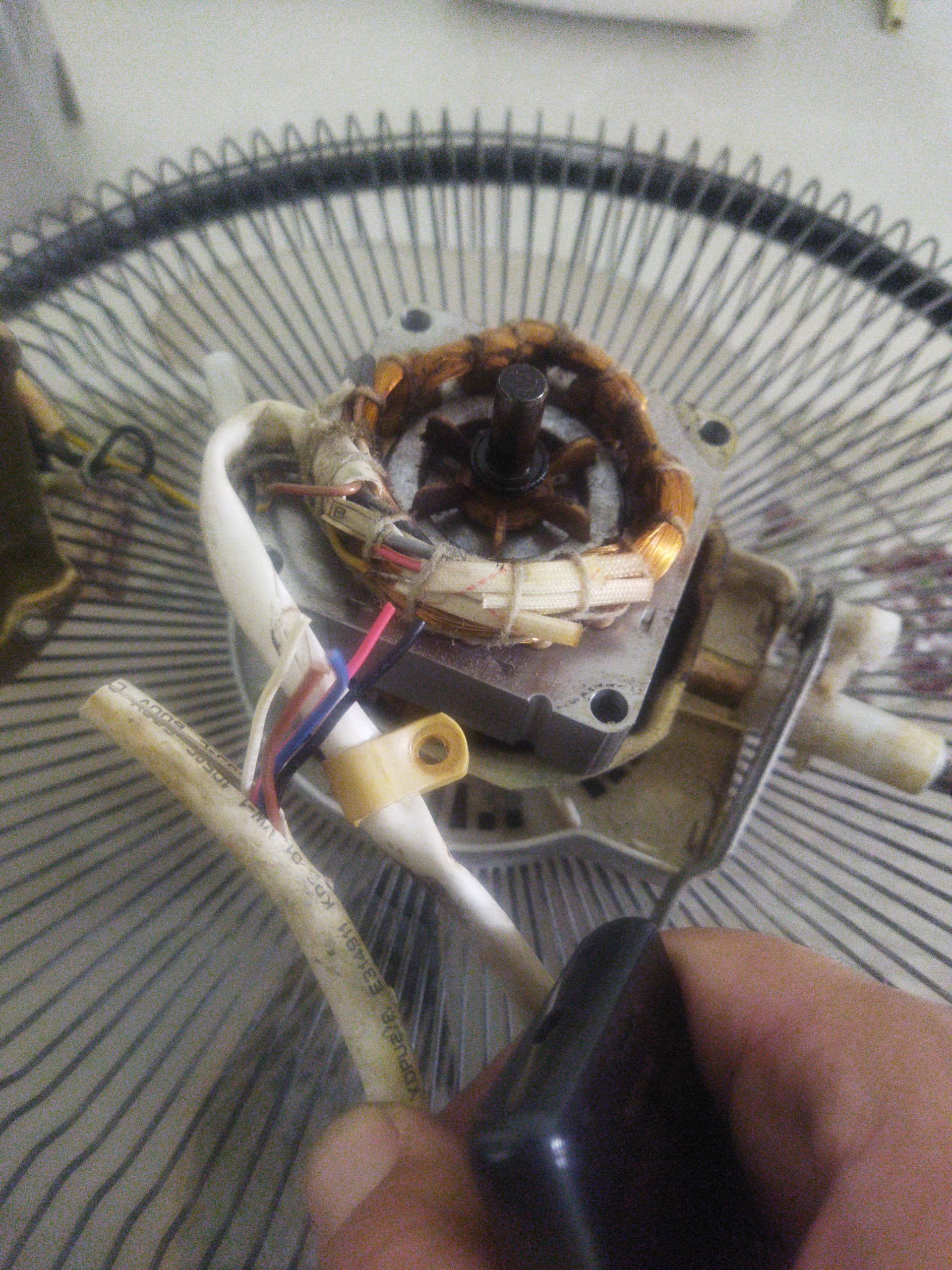 17808250612434543411596886747749